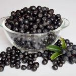 aronia-1589385_1920
