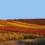 autumn-1794054_1920