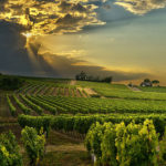 bergerac