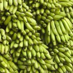 Bananas at Atalaya Village in Peru.When: 24 Apr 2008