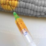 a corncob and an injectionWhen: 24 Jan 2010