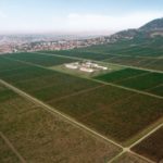 vinogradi vrsac swisslion (5)