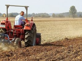 Zašto je važno izvršiti ugaranje – ljuštenje strništa