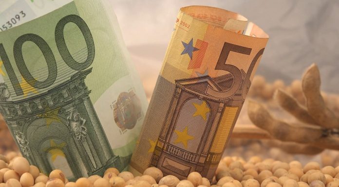 Ruralni razvoj u okviru IPARD programa