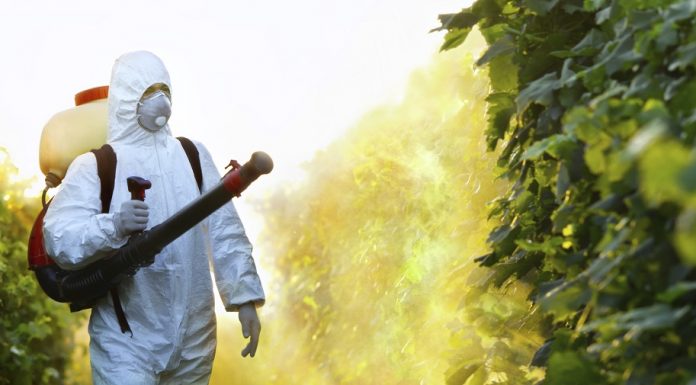 Pravilna primena pesticida kao osnov uspešne zaštite bilja
