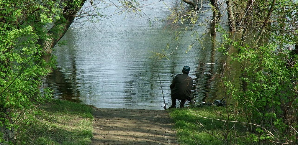 Pecanje bele ribe u proleće (3)