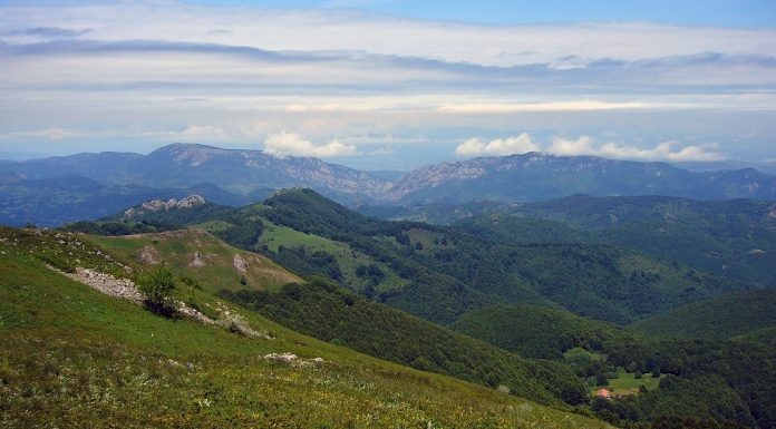 Mogućnosti planinskog područja u proizvodnji hrane