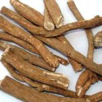 Velebilje – otrovna lekovita biljka (4)