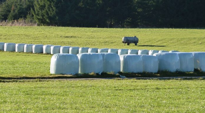 Dobar silo objekat, uslov za kvalitetnu silažu