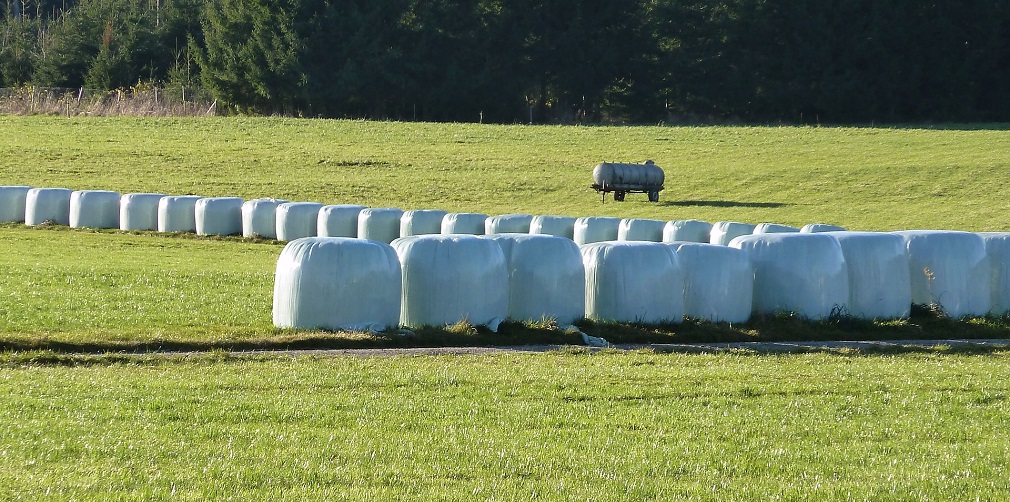 Dobar silo objekat, uslov za kvalitetnu silažu (1)