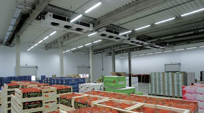 Suzbijanje štetnih organizama na uskladištenim biljnim sirovinama