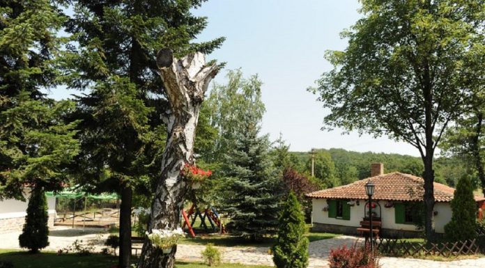 Razvoj seoskog turizma uz IPARD podsticaje kroz Meru 7