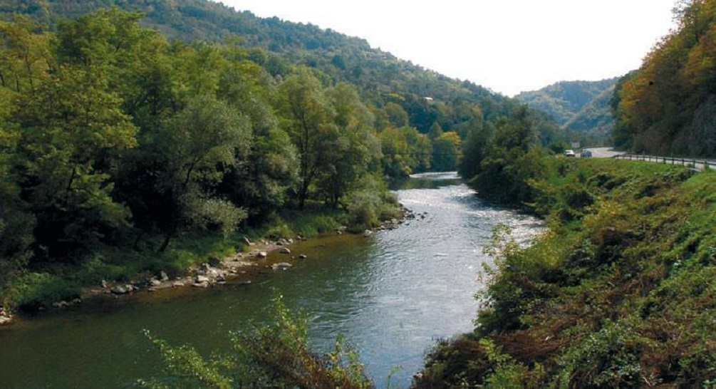 Velika akcija čišćenja reka u Srbiji (5)