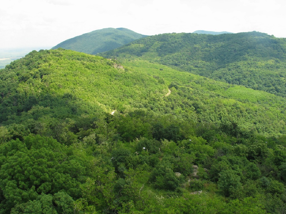 Pojačana kontrola zaštite Vršačkih planina (1)