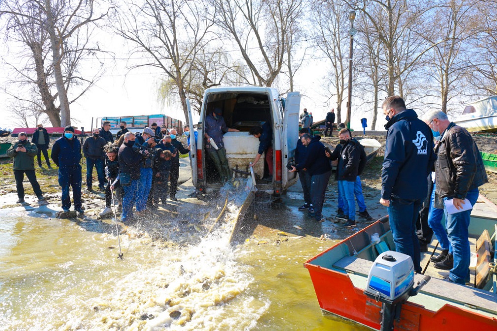 Počelo poribljavanje na ribolovnim vodama JVP „Vode Vojvodine“ (1)