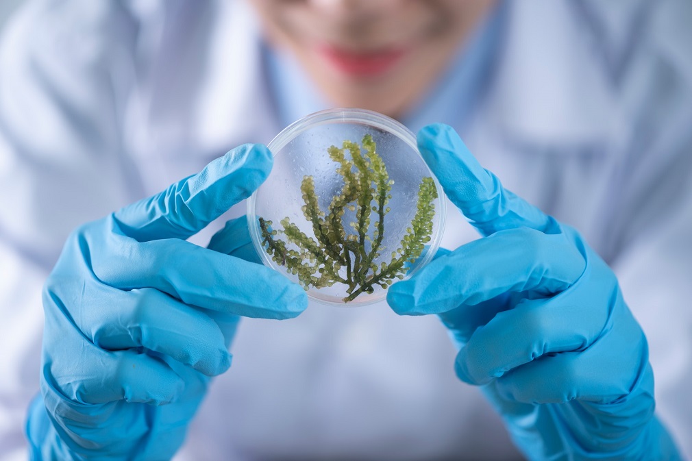 Evropska unija će obezbediti Srbiji opremu za upravljanje ostacima pesticida (2)