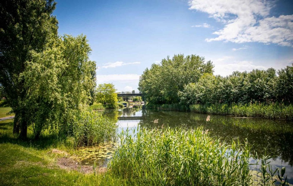 Počeli radovi na revitalizaciji Velikog bačkog kanala (2)