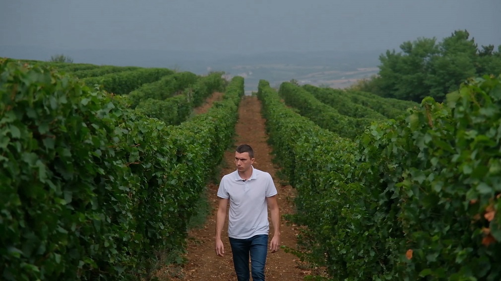 Vino iz “Topličkih vinograda” stiže i do Kine (4)