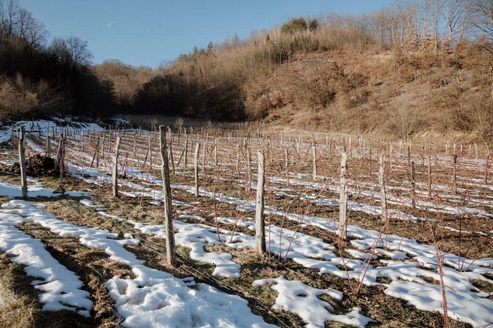 Sigurni koraci u poljoprivredi su samo oni osigurani (2)