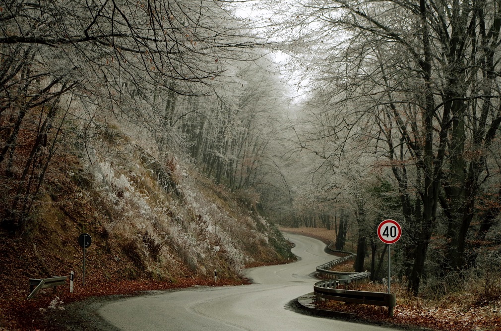 Za veću pošumljenosti Vojvodine potrebne promene određenih zakona (2)
