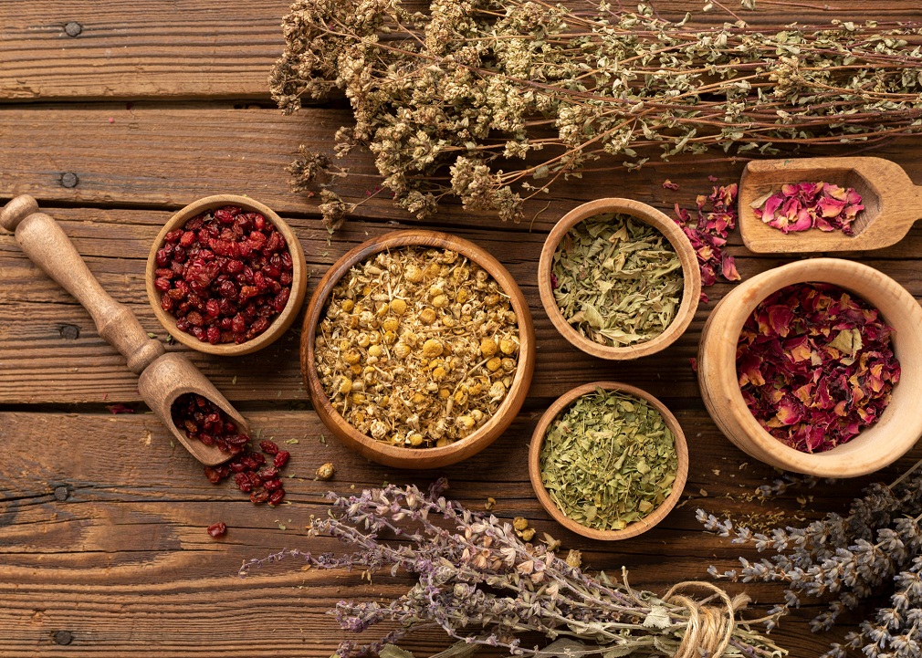 Serbia Organika objavila Priručnik o organskoj proizvodnji lekovitih i aromatičnih biljaka (1)