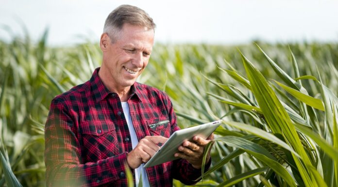 Šta je poslovno planiranje u agro biznisu?
