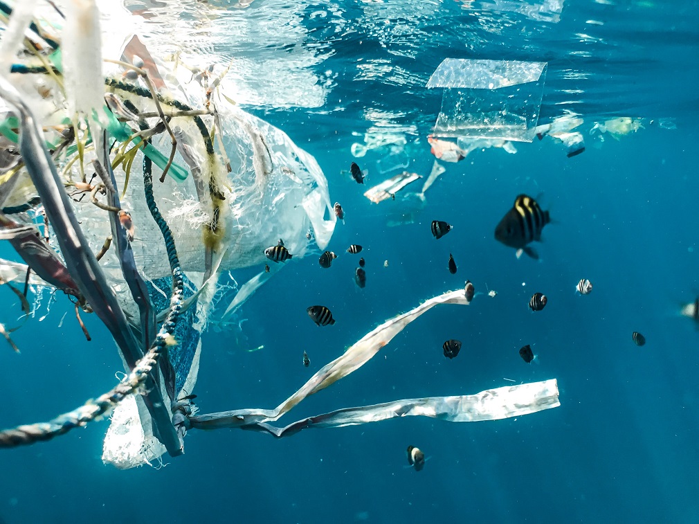 Što su delići plastike manji, to je problem po okolinu veći (1)