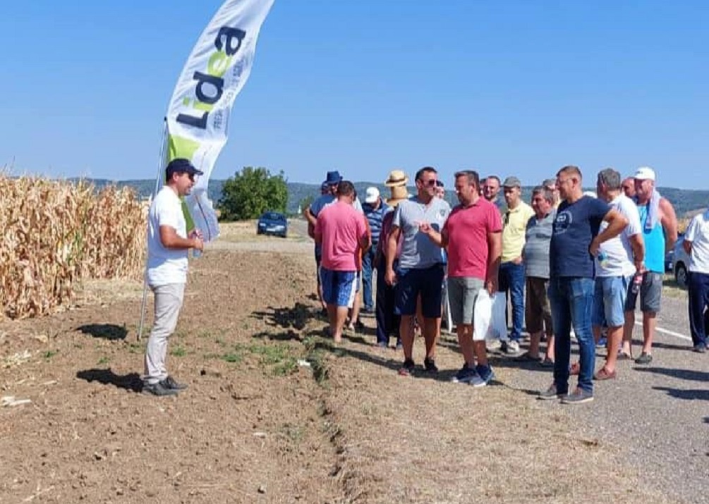 U Grgujevcima održani „Dani polja kukuruza“ (1)
