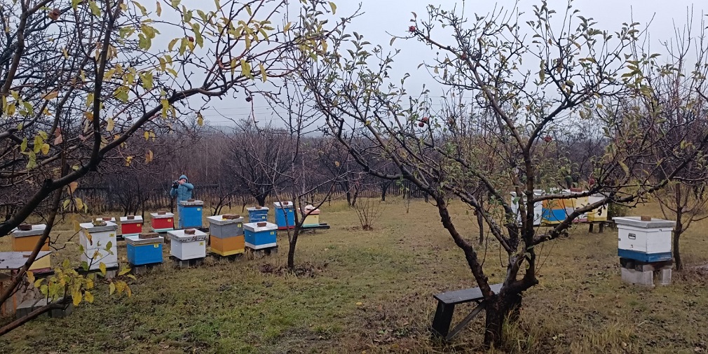 Na teritoriji Bora sve više pčelara (2)