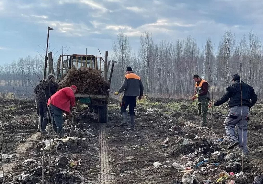 Na mestu deponije u Čelarevu raste nova zelena oaza (2)