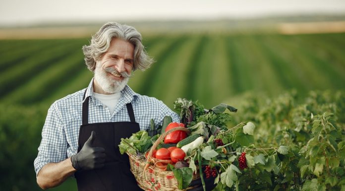 Perspektive razvoja srpskog agrara