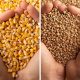 Robne rezerve objavile uslove za razmenu pšenice i kukuruza za NPK đubrivo (3)