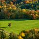 field-5932123_1920
