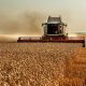 30 odsto pšenice kojom se trguje u svetu dolazi iz Rusije (2)