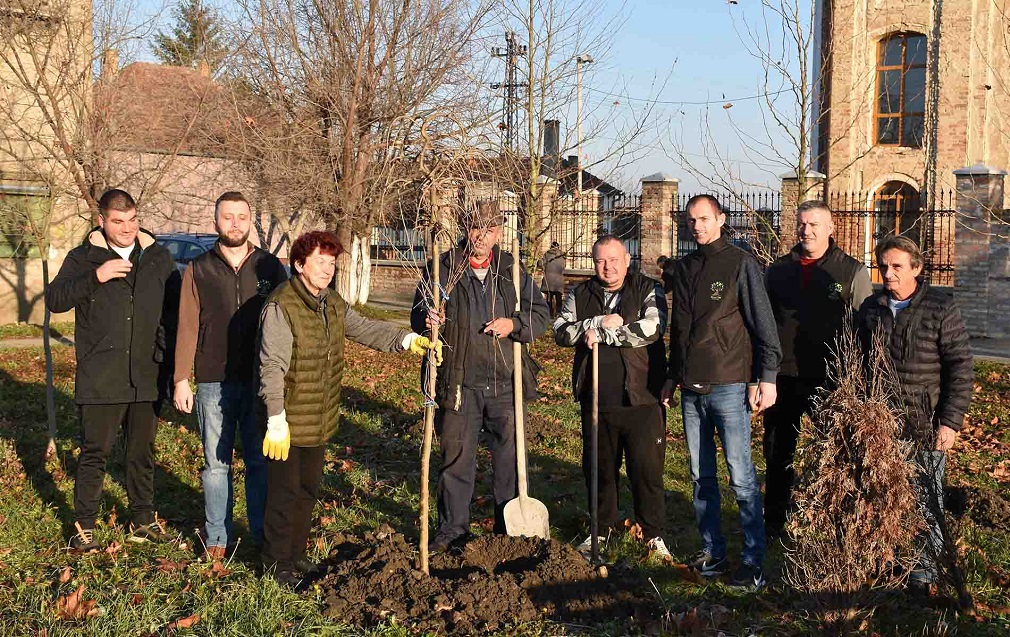 U Pećincima posađeno 85 sadnica ukrasnog drveća (2)
