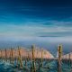 Beautiful shot of a vineyard in winter, fog and vibrant blue sky in the background