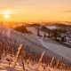 Snowy vineyard in winter at sunraise in Styria Austria Slovenia border.