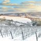 Vineyards rows covered by snow in winter at sunset. Chianti, Sie