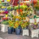 stand-3714597_1280