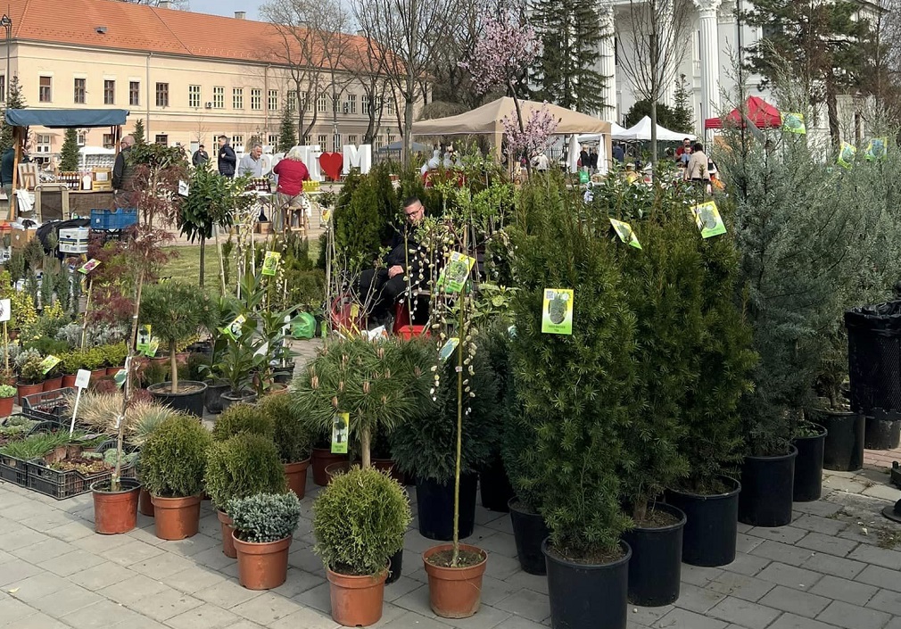 Cvetna pijaca u Bečeju 23. i 24. aprila (2)