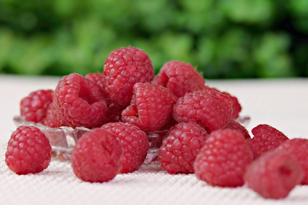 raspberries-8243430_1280