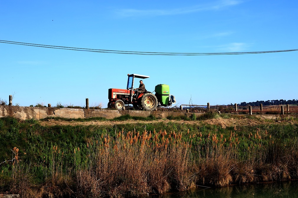 transport-4872443_1280