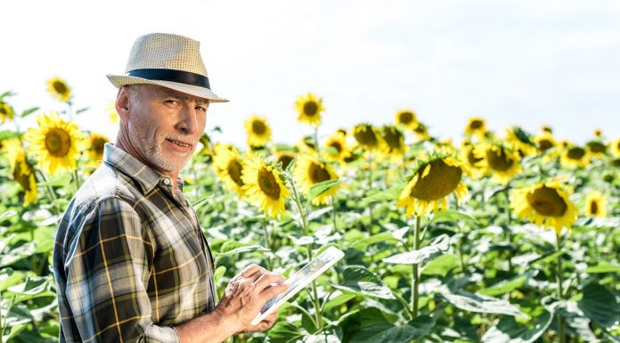Neophodnost izrade biznis plana za planiranje investicije