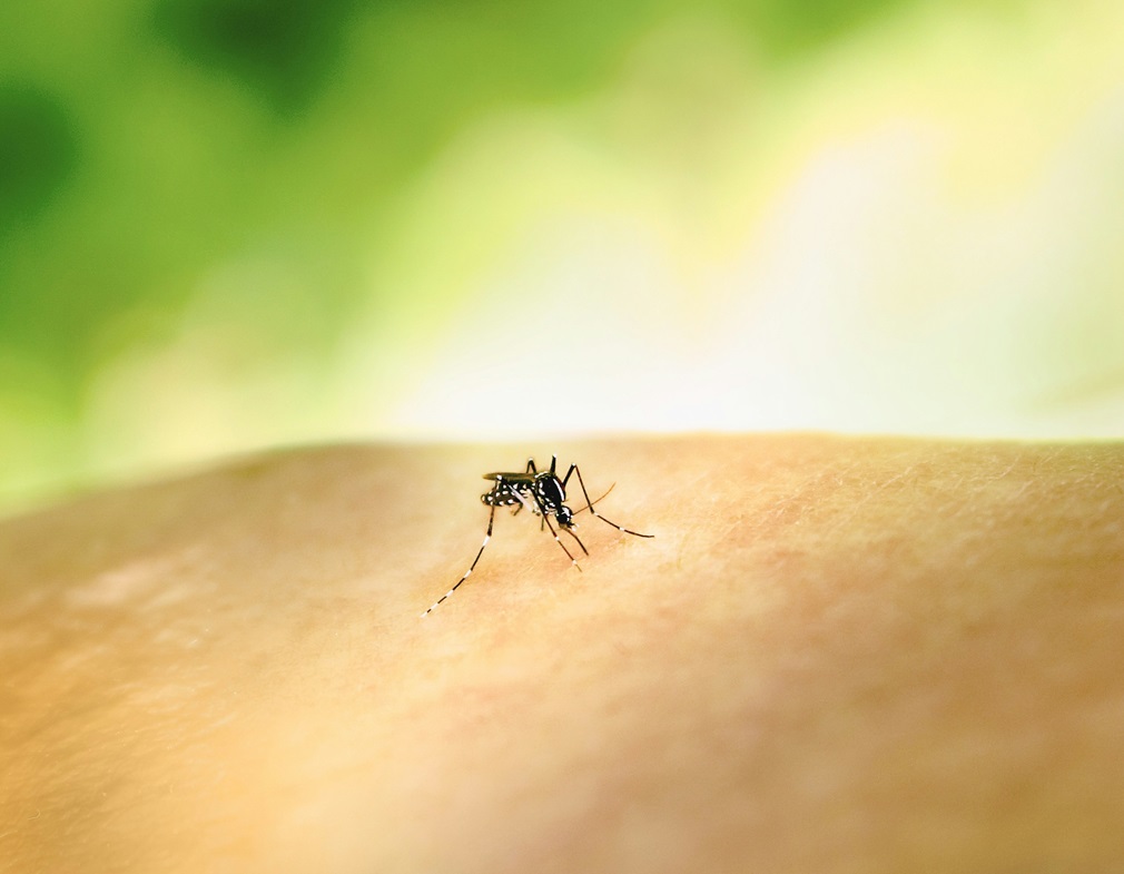 national-institute-of-allergy-and-infectious-diseases-eOR3TOE9Jw0-unsplash