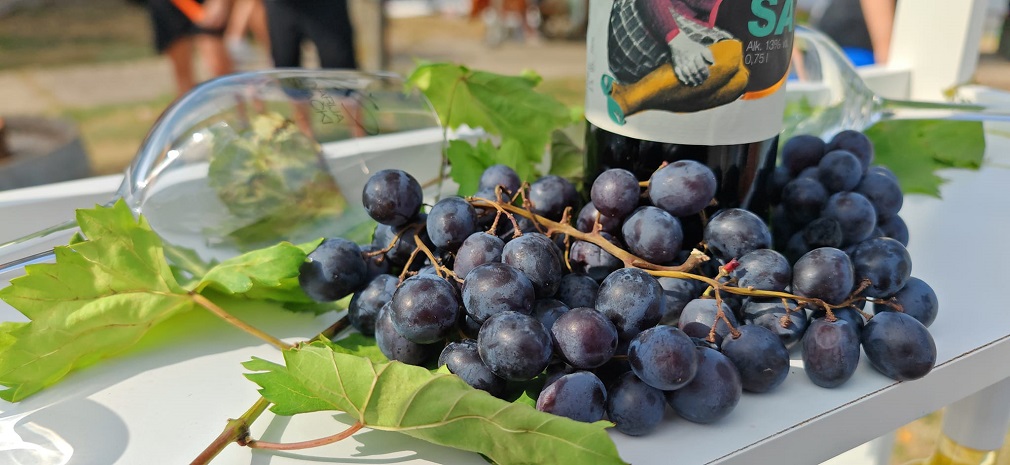 Na „Banoštorskim danima grožđa” vino se ne pije, u njemu se uživa natenane (2)