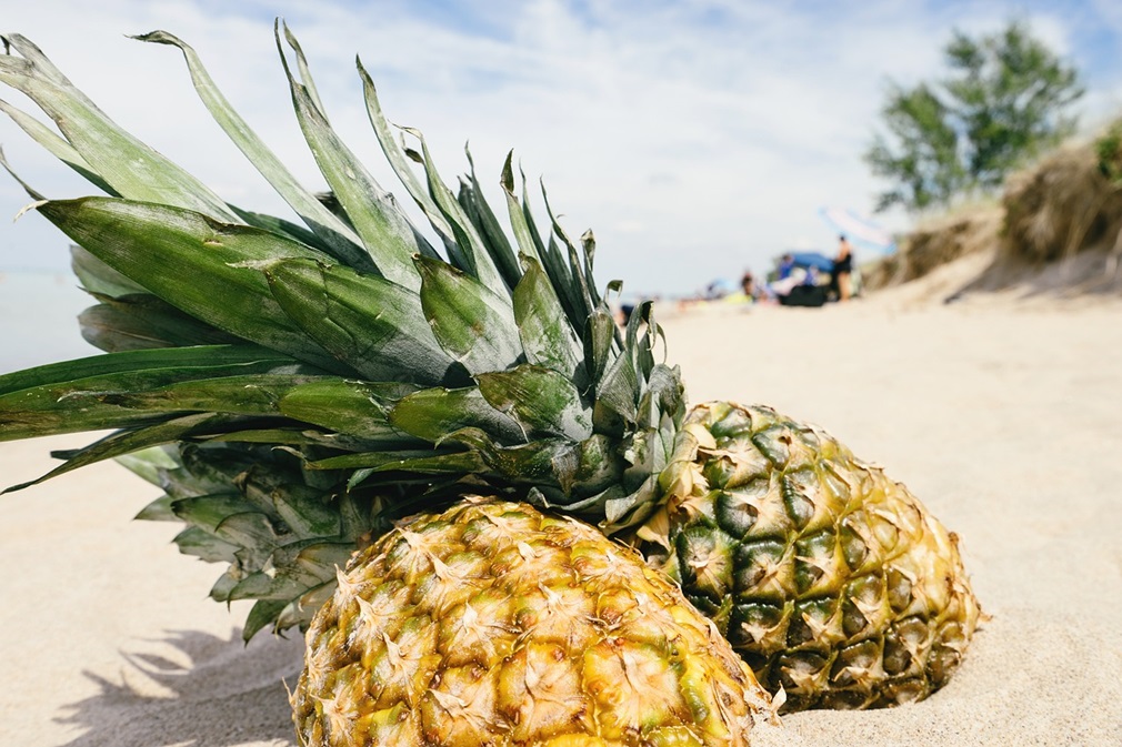 pineapple-1602345_1280