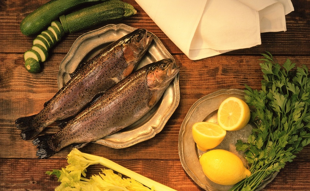 fish-supper-3805035_1280