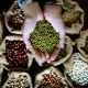 Variety of seeds products on the sack and hands with mung bean