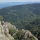 Planina Jelica dobila status zaštićenog područja (3)