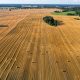 field-8885590_1280
